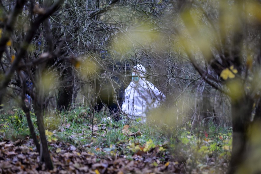 Grzybiarz znalazł ludzkie szczątki w lesie koło Osjakowa....