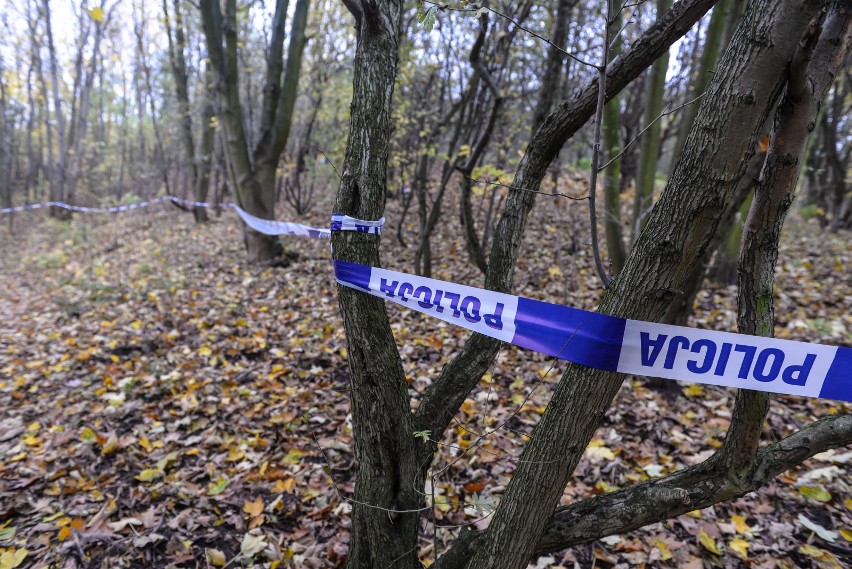 Grzybiarz natknął się na szczątki ludzie w lesie koło wsi...