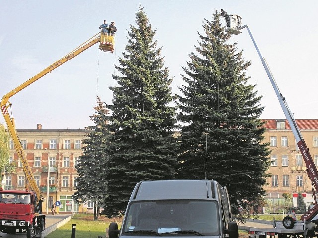 W Dzień Zaduszny rozpoczęto instalowanie bożonarodzeniowej iluminacji na świerkach przed centrum handlowym Alfa w Grudziądzu