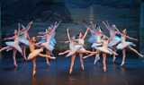 „Jezioro Łabędzie”- spektakl baletowy w wykonaniu Royal Russian Ballet z Charkowa [zdjęcia]