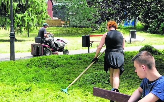 Koszenie trawy w Łodzi. Do kiedy będą kosić? | Express Ilustrowany