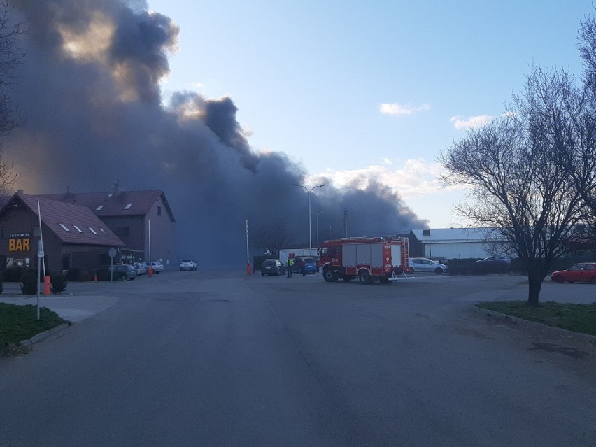 Pożar hali Pawłowiczki.