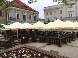 Ruszają ogródki w lokalach gastronomicznych w Kielcach. Zobacz, gdzie będzie można zjeść [ZDJĘCIA]