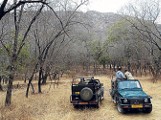 Indie, Radżastan. W poszukiwaniu bestii z parku narodowego Ranthambore