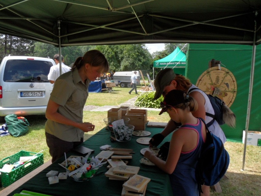 Leśny Piknik Rodzinny Ekoodpowiedzialnie 2015 w Katowicach