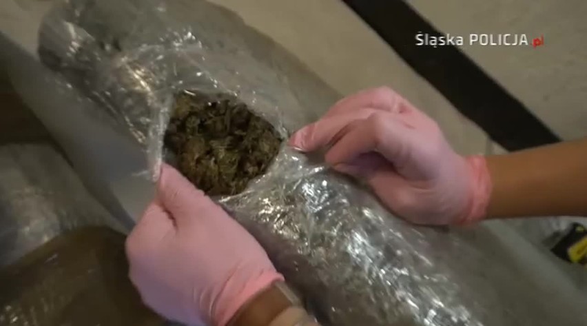 Śląscy policjanci przejęli 130 kg marihuany