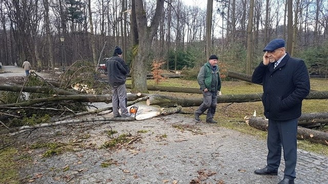 Aż 87 powalonych drzew, zniszczony jeden mostek, kilka ławek, kosze na śmieci i ogrodzenie - to bilans wichury, która przeszła nad naszym regionem w nocy z niedzieli na poniedziałek.