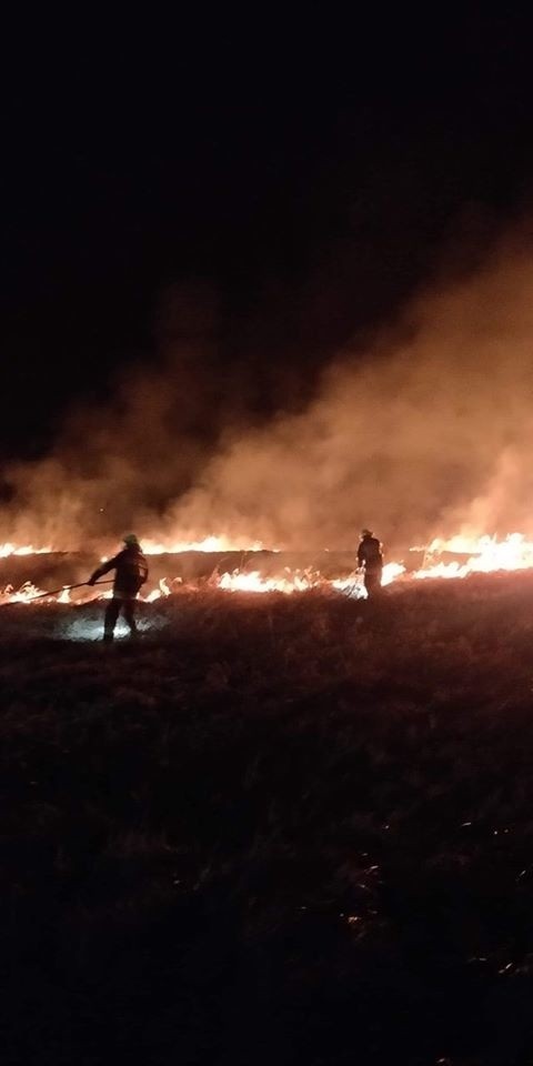 Plaga pożarów traw pod Tarnowem. Strażacy jadą do akcji, a maseczki ochronne im się kończą [ZDJECIA]