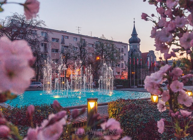 Zielonogórska starówka jest przepiękna. Udowadnia to swoimi fotografiami nasza Czytelniczka, Julia Pawłowska. - Przeczytałam artykuł "GL" o magnoliach, i pomyślałam, że podzielę się zdjęciami ze spaceru po Zielonej Górze - napisała do nas pani Julia. - Jest na nich nasze piękne miasto - dodaje mieszkanka. Spacer śladami zielonogórskich magnolii. W mieście jest pięknie!Wideo: zielonogórskie magnolie są najpiękniejsze: 