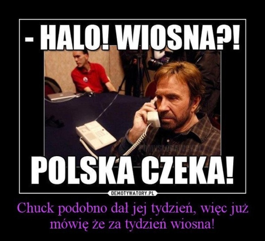 Memy z Chuckiem Norrisem. Chuck Norris potrafi wszystko MEMY