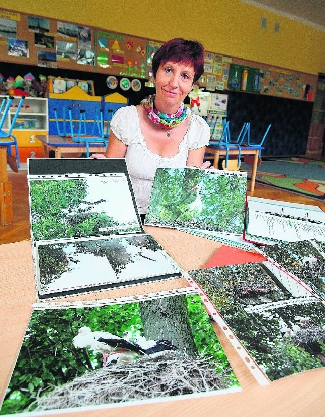 Ewa Głogowska sporządza także dokumentację fotograficzną, m.in. gniazd na drzewach, których powoli ubywa.