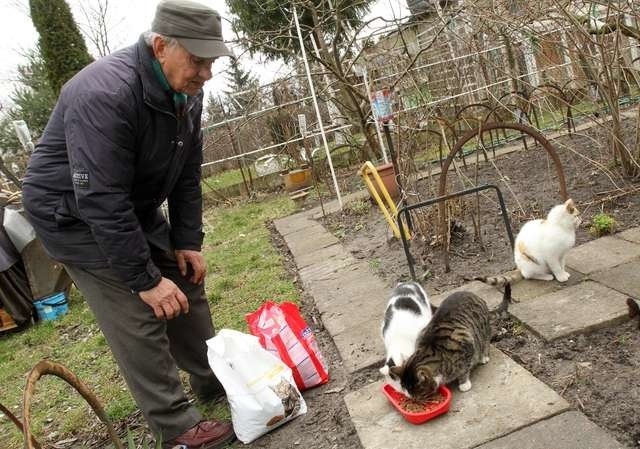 Pan Tadeusz, nasz Czytelnik na swojej działce na Rudaku ma już kilka kotów, które musi karmić