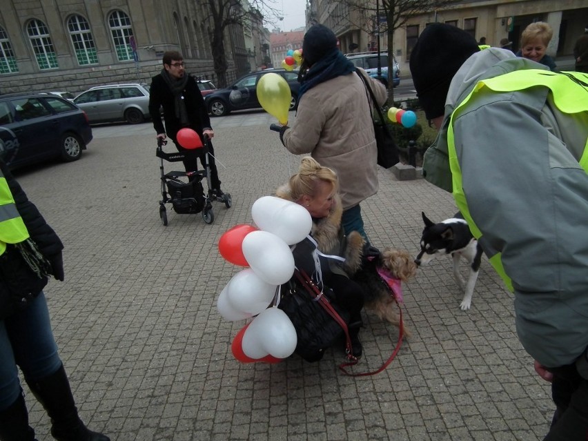 KOD apelował o przytulanie się na placu Wolności