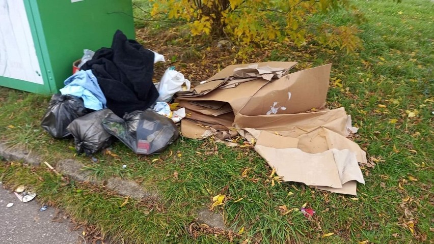Problem śmieciowy w Koszalinie