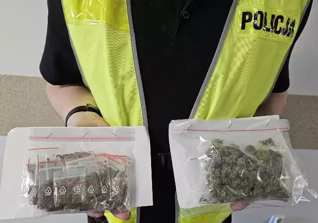 Włocławscy policjanci znaleźli susz roślinny o charakterystycznym zapachu.
