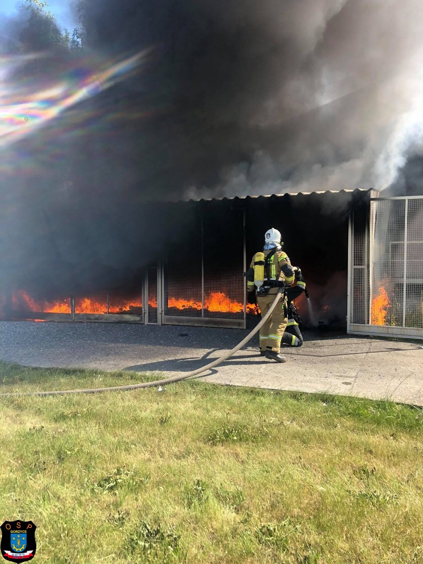 Pożar na terenie zakładu w Gorzycach. Co się wydarzyło? (ZDJĘCIA)