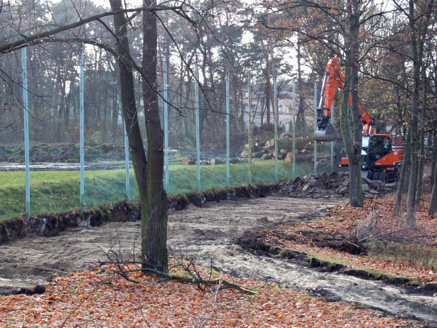 Park Czarna Góra W Olkuszu przechodzi generalny remont. Prace mają zakończyć się w przyszłym roku