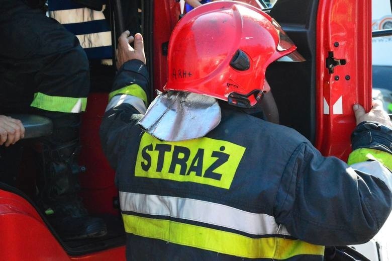 Sztorm w Kołobrzegu: Runęło drzewo, uszkodziło trzy samochody
