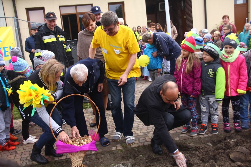 W Żorach zasadzili prawie 1000 żonkili, tworząc "Pole Nadziei" przy hospicjum