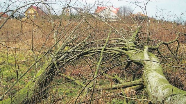 Wielkie emocje mieszkańców powiatu budził widok na działce w Bielańsko-Tynieckim Parku Krajobrazowym