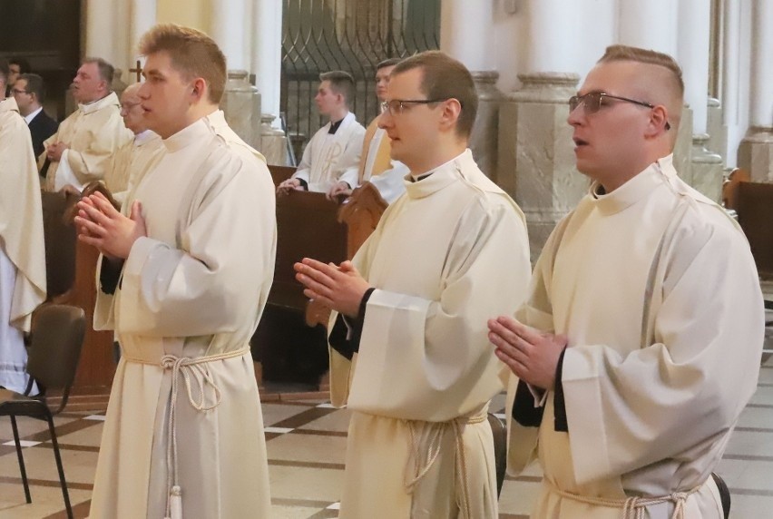 Święcenie diakonów w katedrze w Radomiu. Trzech pochodzi z województwa świętokrzyskiego. Zobacz zdjęcia