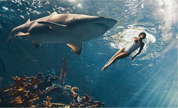 Rihanna z rekinami - zdjęcia