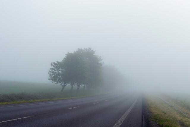 Nad ranem w sobotę w wielu regionach Polski mogą wystąpić gęste mgły
