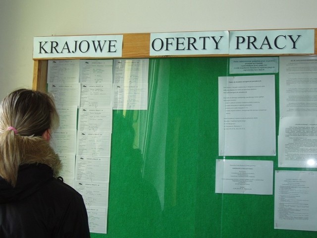 Na ponad 7 tysięcy bezrobotnych czeka w urzędzie pracy siedemdziesiąt ofert. Zimą było ich 30-40.