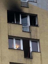 Pożar w mieszkaniu na dziewiątym piętrze w wieżowcu przy ul. Batalionów Chłopskich. Poparzona lokatorka 