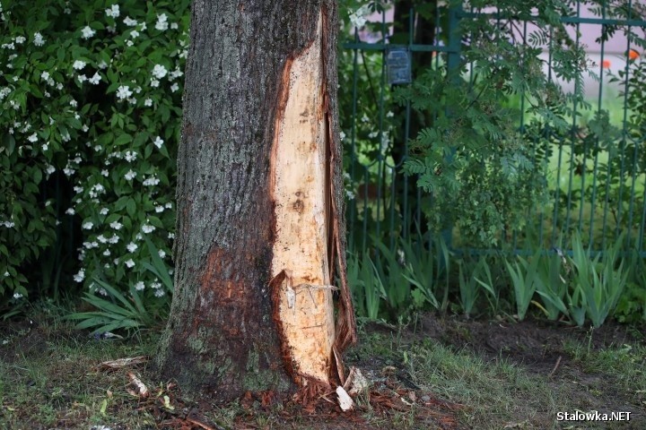 Wypadek w Jastkowicach koło Stalowej Woli. Opel uderzył w drzewo, kierująca nim 20-latka nie żyje [ZDJĘCIA]