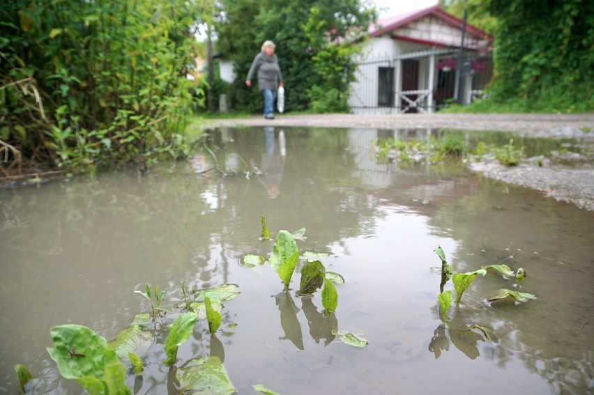 Ulice Wapienna i Dzierżawna znowu zalane. A to nie koniec deszczu