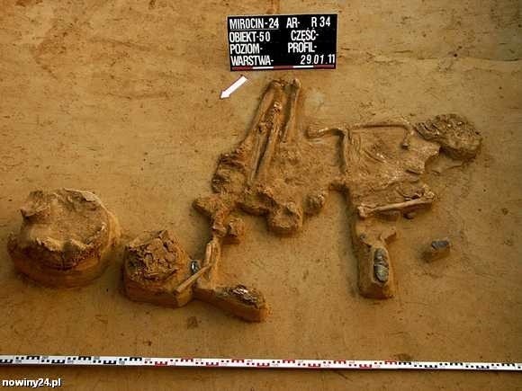 Szczątki mężczyzny sprzed 5 tysięcy lat z częścią znalezionych przy nich kosztowności.