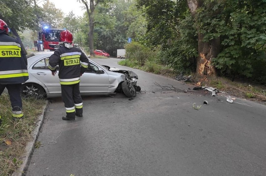 Szczecin: Samochód uderzył w drzewo. Kierowca uciekł. Szuka go policja