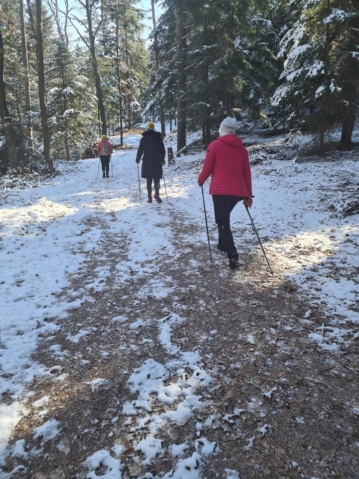 Dobczyce. Przepis na aktywną wiosnę i lepszą odporność: nordic walking