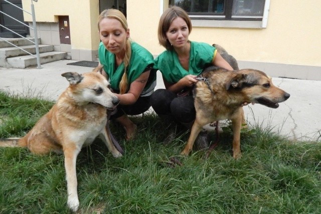 Alicja Smajda i Joanna Joszko (z prawej) od kilku lat są wolontariuszkami w schronisku dla bezdomnych zwierząt.