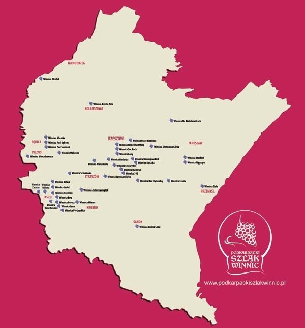 Podkarpacie to największy region winiarski w Polsce. Jest tu...
