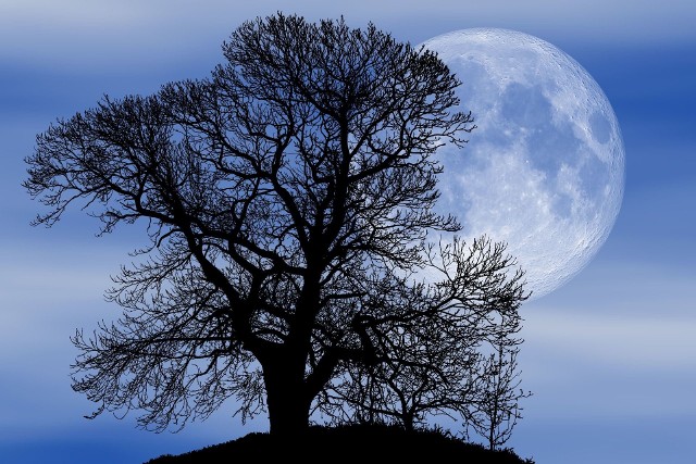 Śnieżny Księżyc - wyjaśniamy co to za zjawisko astronomiczne.