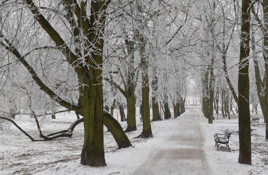 Inowrocławskie Solanki są piękne także zimą, zwłaszcza...