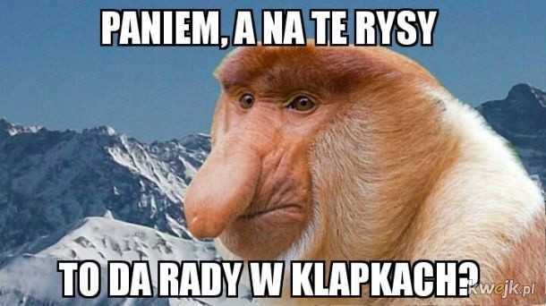 Wakacje w górach - MEMY. "Paniem, a na te Rysy to da radę w klapkach?", czyli wakacje w górach oczami internautów 