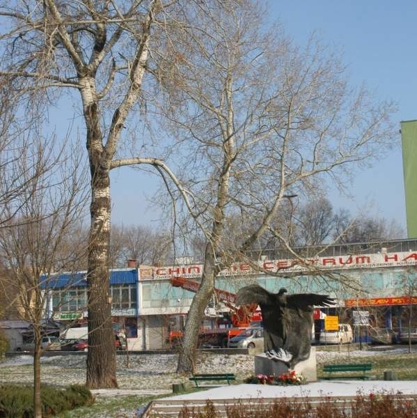 W rejonie pomnika Wolność i Niezawisłość przy ulicy Beliny-Prażmowskiego magistrat planuje wycięcie 49 drzew. Urzędnicy zapewniają, że na ich miejsce będą posadzone nowe.