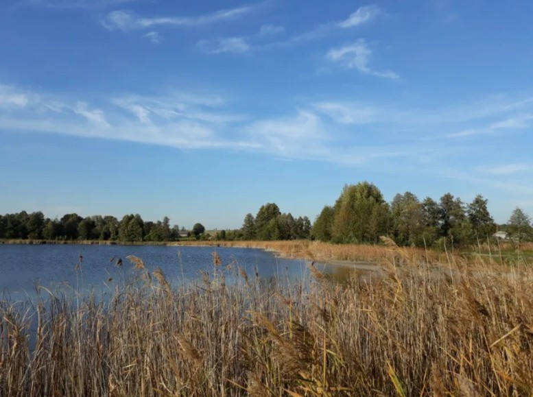 Działka rekreacyjno-budowlana bezpośrednio nad jeziorem...