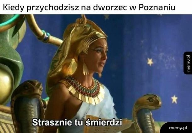 Internet śmieje się z Poznania! Poznań miasto doznań,...