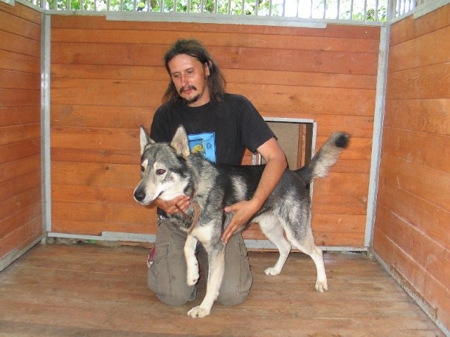 Wolf przebywa w schronisku dla bezdomnych zwierząt w Orzechowcach. Nz. z kierownikiem tej placówki Arturem Bąkiem.