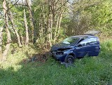 Pijany kierowca uszkodził autem dwa znaki drogowe w gminie Drużbice i wjechał do rowu