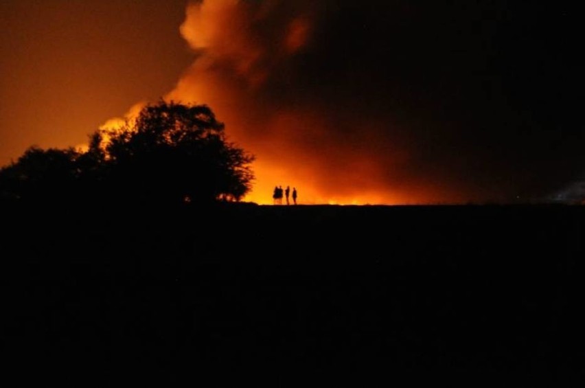 Pożar śmieci w Pyszacej koło Śremu