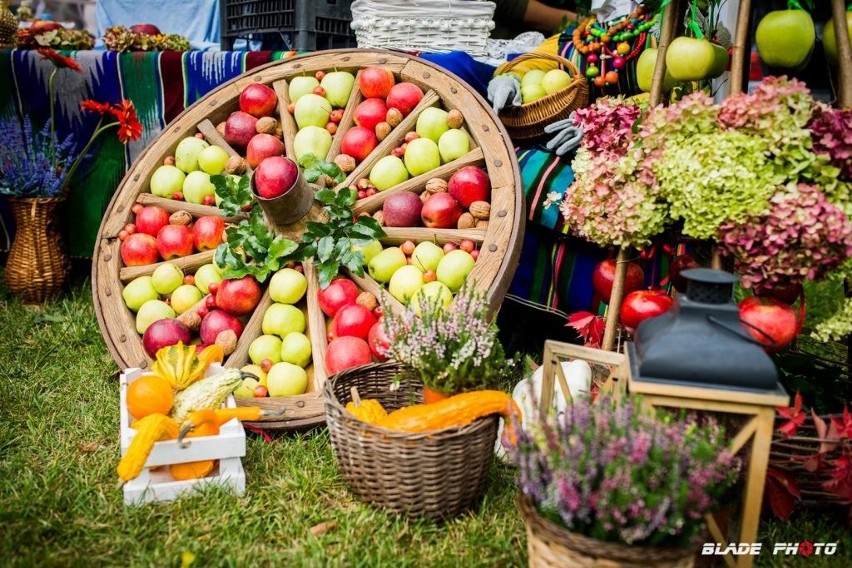 Święto Jabłka w Warce. Będzie dużo smakołyków oraz innych atrakcji z okazji 700-lecia miasta