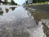 Ulewa na Pomorzu [5.08.2018]. Gwałtowny deszcz i burza w Gdyni, Wejherowie i okolicy. Zalane piwnice, garaże i posesje [wideo]