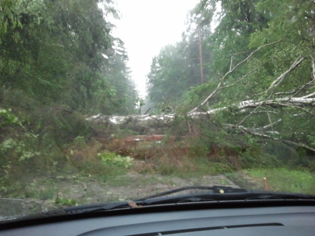 Drzewo spadło obok samochodu [ZDJĘCIA]. Droga zablokowana