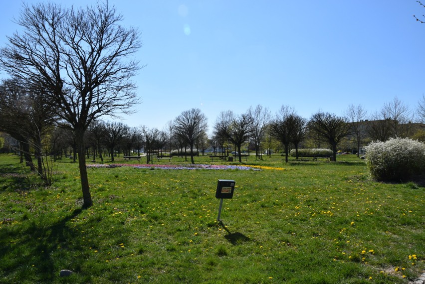 Od poniedziałku 20 kwietnia znów można wchodzić do parków i...