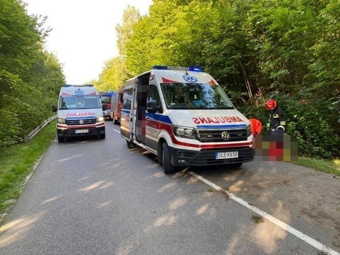 Policja szuka świadków śmiertelnego wypadku na drodze 212.